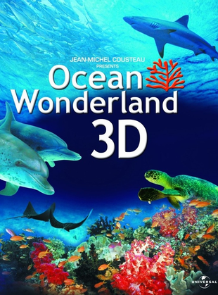 神奇的海洋2D+3D 蓝光原盘+MKV/惊艳画质 特效中字/115网盘资源/19.78GB