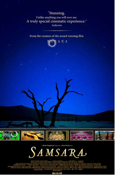 %title插图%num 91免费在线观看一区蓝光片单整理第八弹——超级纪录片(增强4T版)蓝光原盘-适合给孩子普及知识!