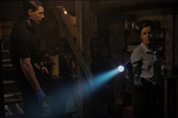 %title插图%num 消失的爱人 蓝光原盘+高清MKV版/失踪的女孩/失踪女孩/失踪罪(港)/控制(台)/ 2014 Gone Girl 44.6G