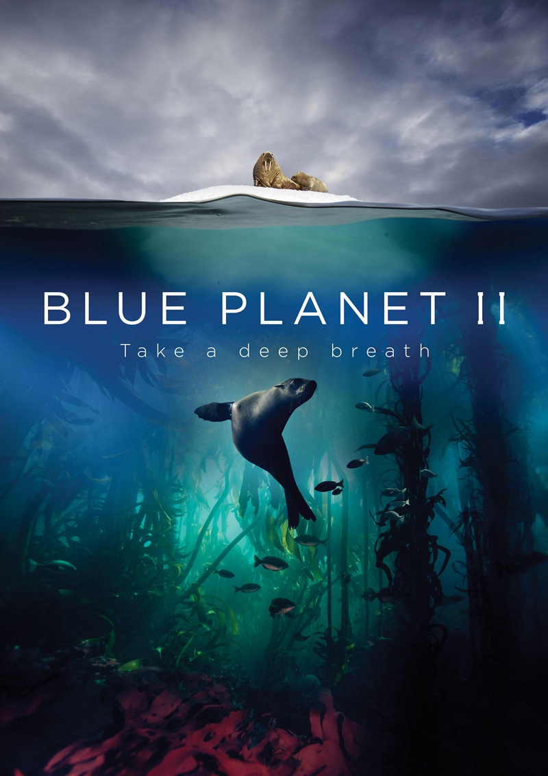 %title插图%num 蓝色星球2 4K蓝光高清版下载/ 蓝色星球 第二季 2017 Blue Planet II 151G