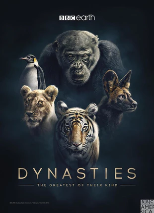 王朝 4K蓝光原盘下载+高清MKV版 /2018 The Rise and Fall of Animal Families 92G