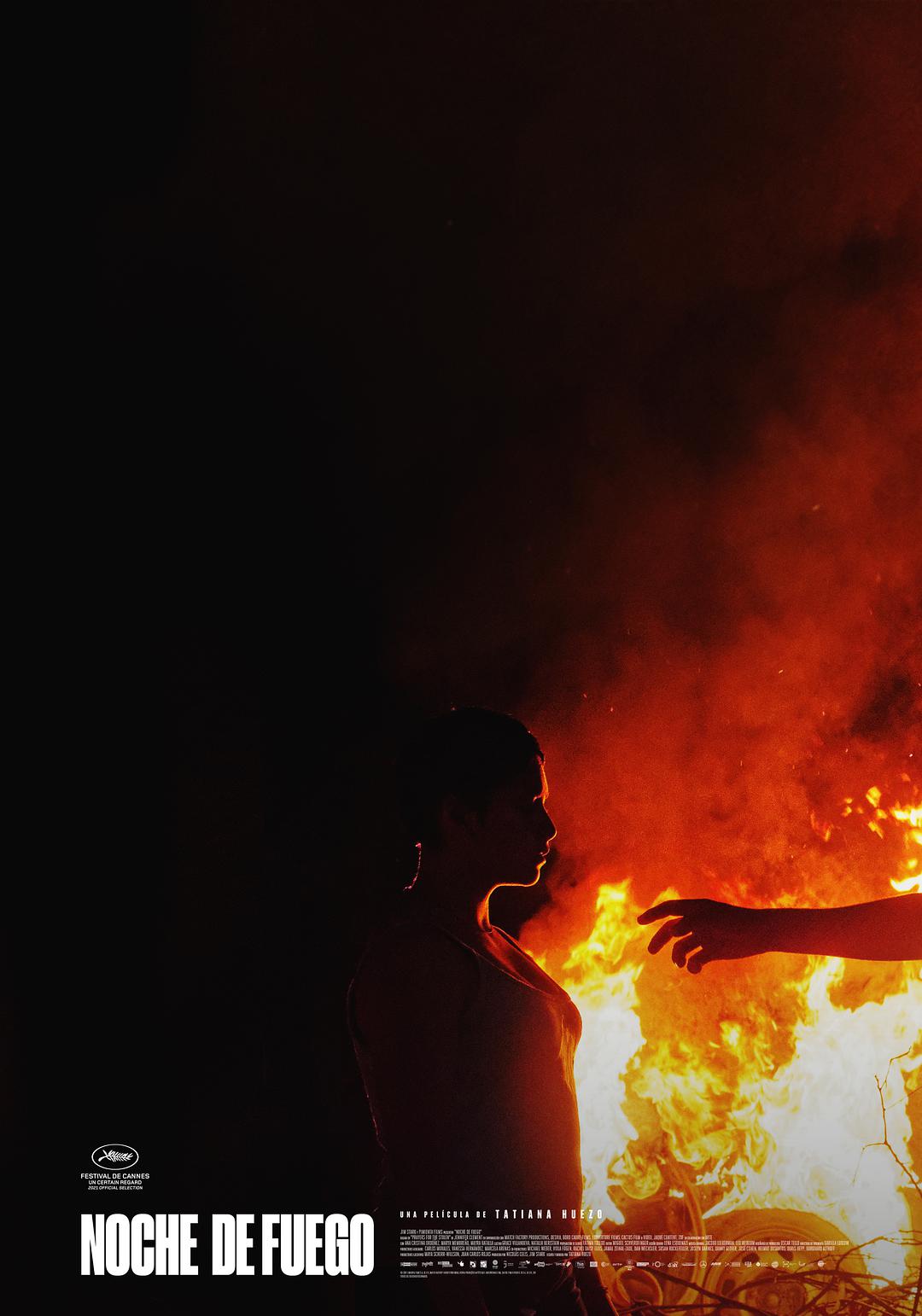 %title插图%num 火之夜 WEB-DL版下载/Night of Fire / Prayers for the Stolen / 被偷走的女孩(台) 2021 Noche de fuego 6.8G