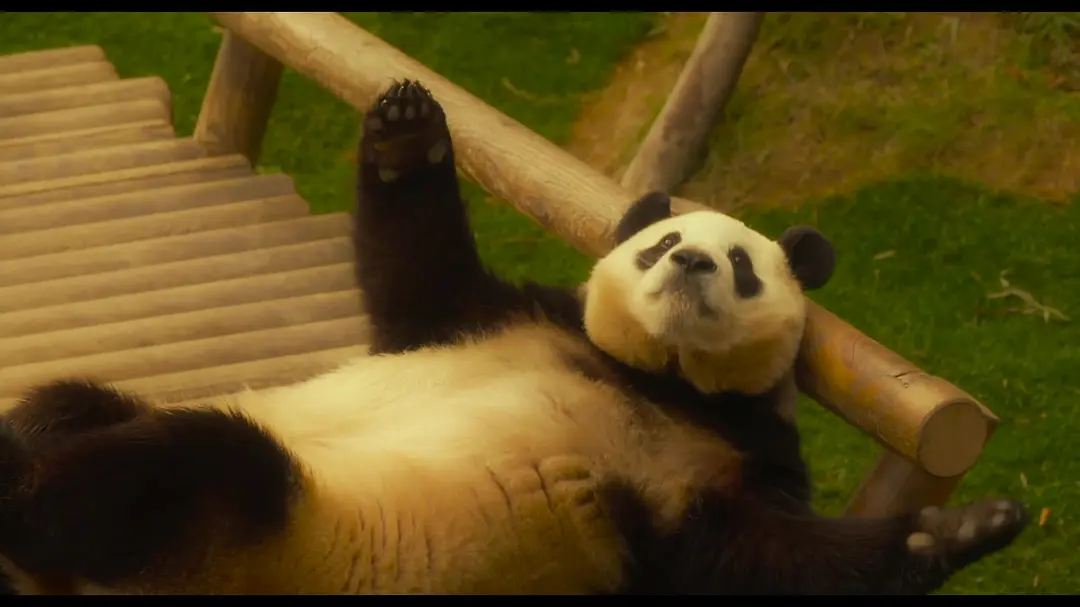 %title插图%num %title插图%num