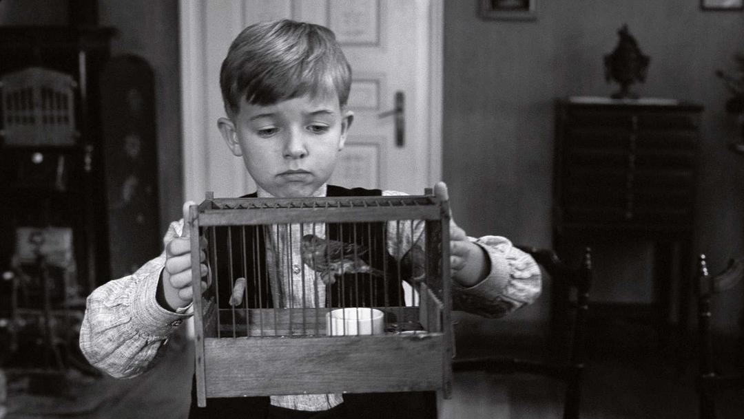 %title插图%num 白丝带 蓝光原盘下载+高清MKV版/白色恐惧(港) / 白色缎带 / 白色丝带 / The White Ribbon 2009 Das weiße Band – Eine deutsche Kindergeschichte 30.7G