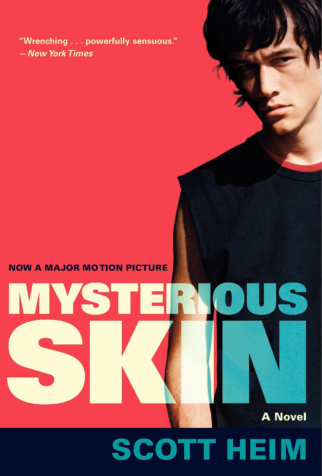 %title插图%num 神秘肌肤 蓝光高清MKV版/诱惑肌肤 2004 Mysterious Skin 8.0G